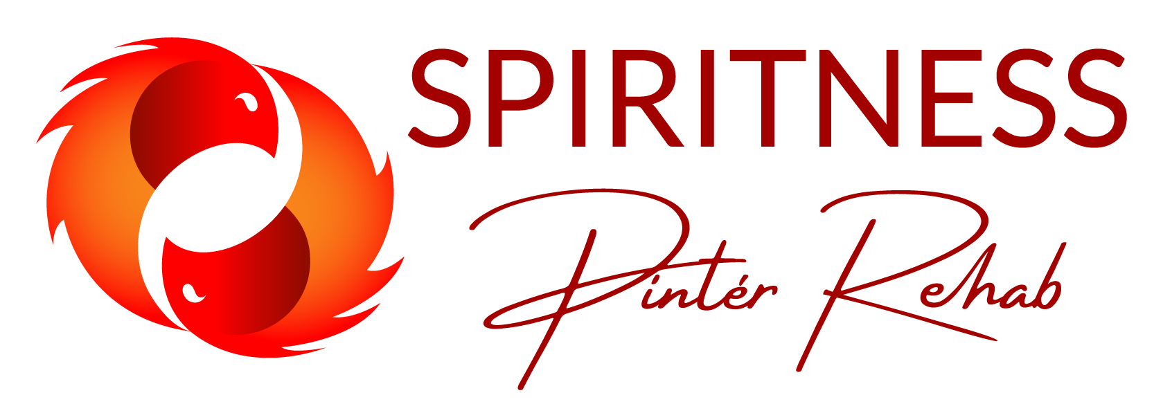 Spiritness Videótár
